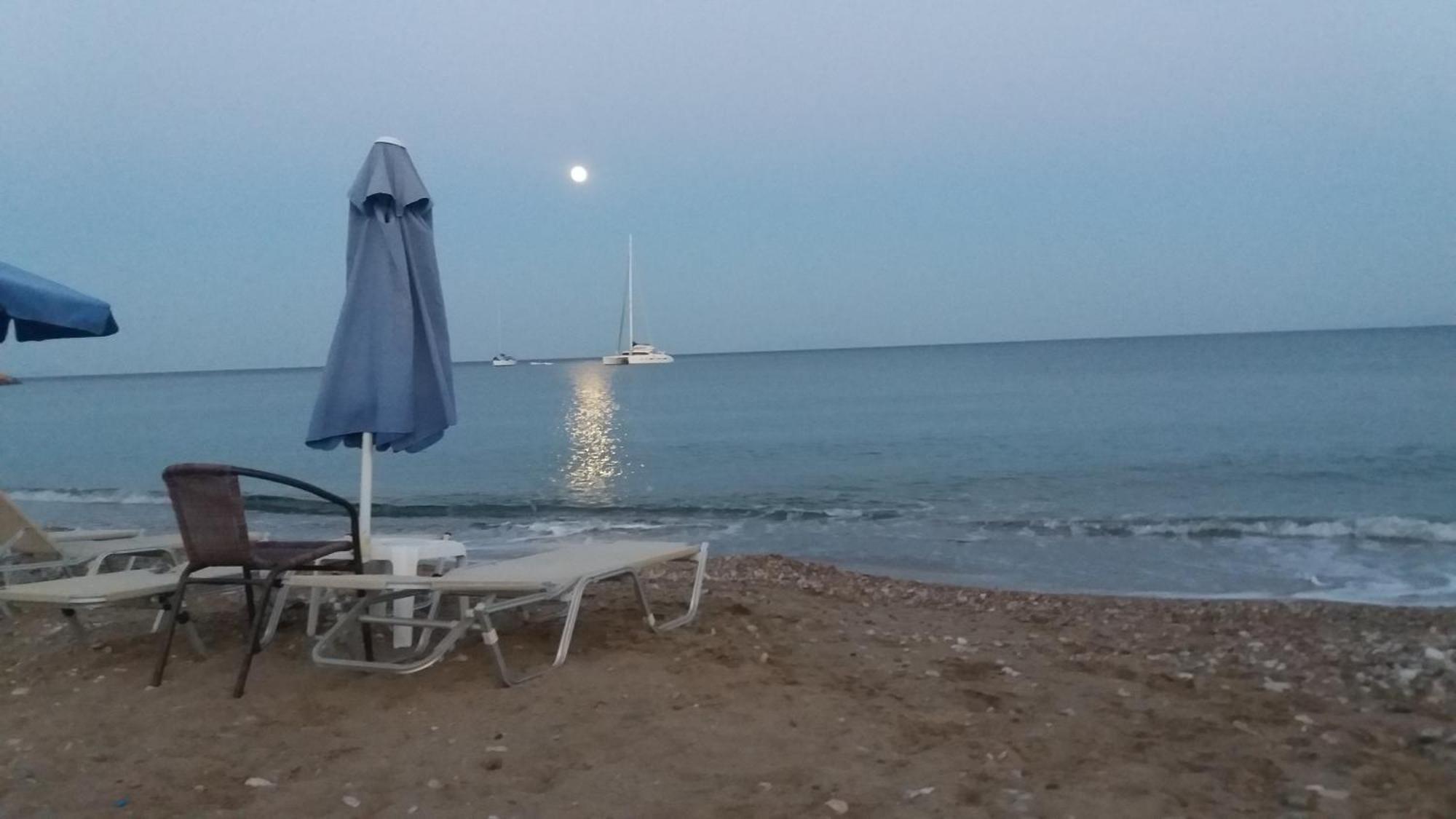 Lily * Komi (Chios)